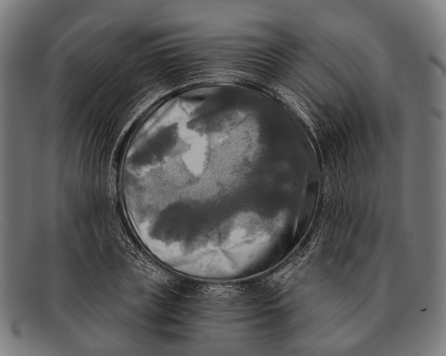 X0000091480835200709131810