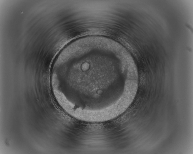 X0000091480836200709131810