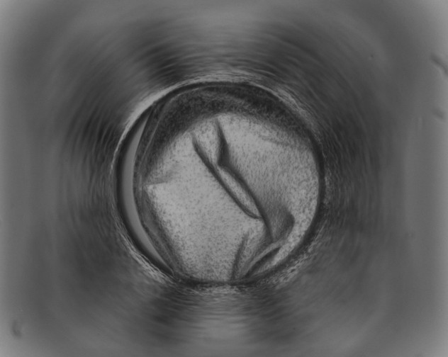 X0000091480838200709131810