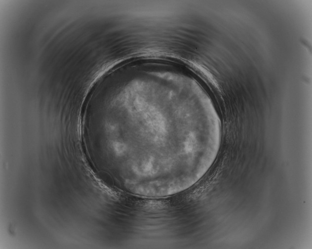 X0000091480839200709131810