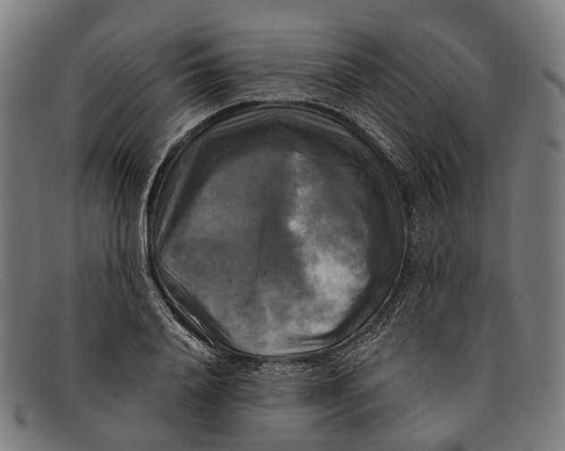 X0000091480840200709131810