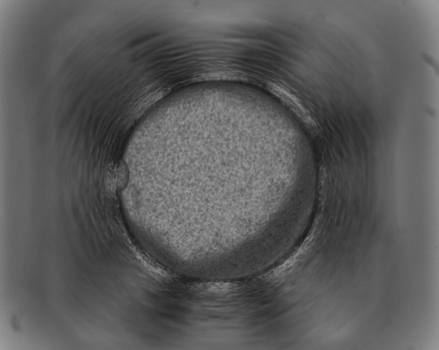 X0000091480841200709131810