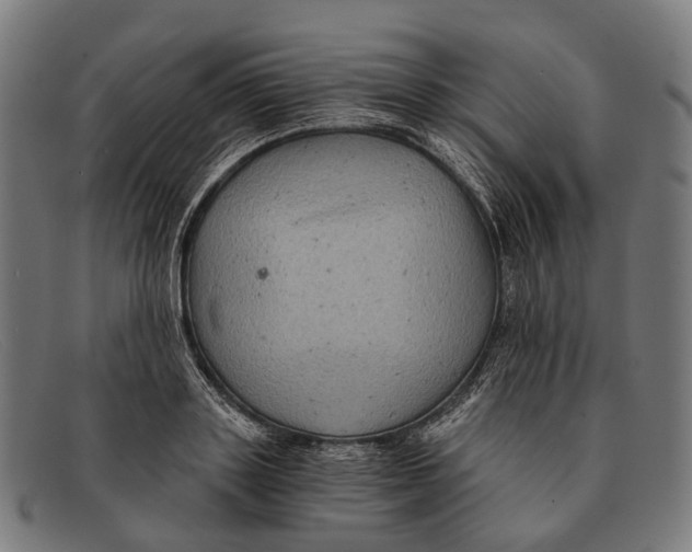 X0000091480843200709131810