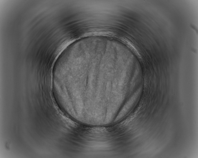 X0000091480844200709131810