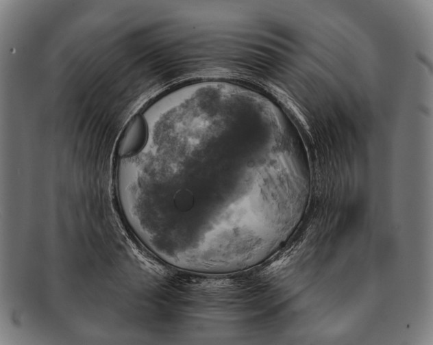 X0000091480845200709131810