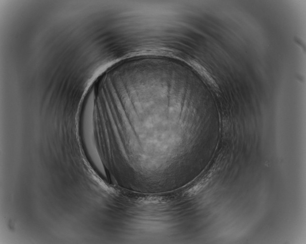 X0000091480846200709131810