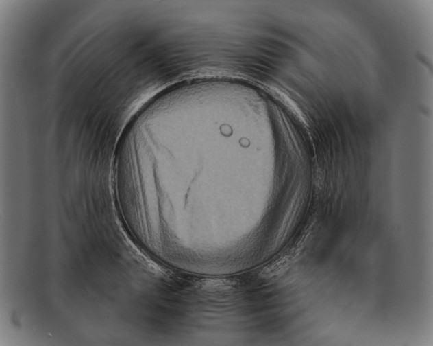 X0000091480847200709131810