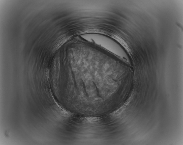 X0000091480849200709131810