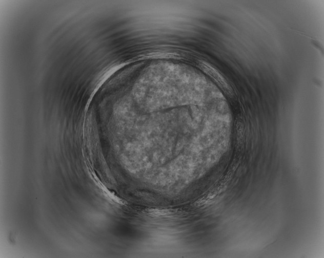 X0000091480852200709131810