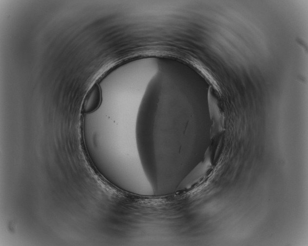 X0000091480853200709131810