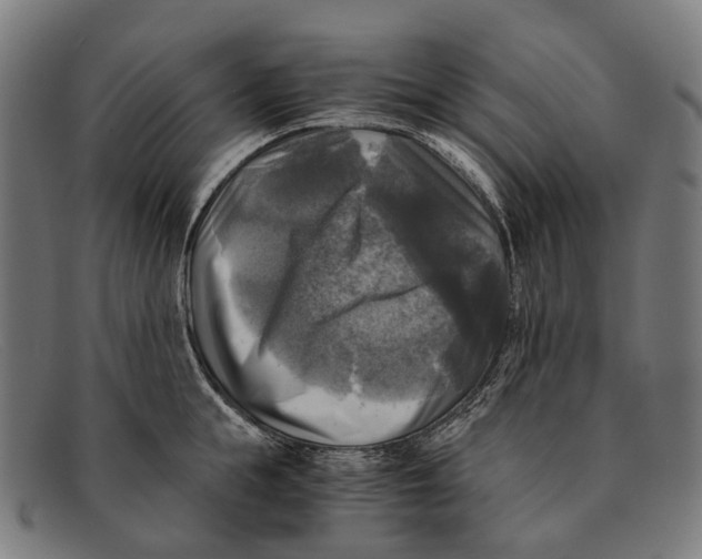 X0000091480855200709131810