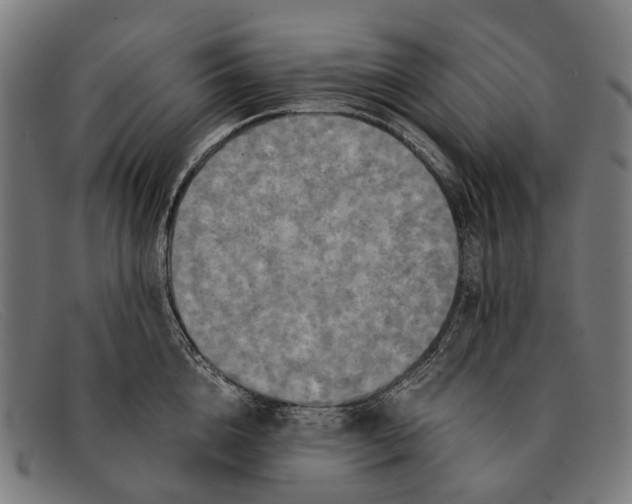 X0000091480856200709131810