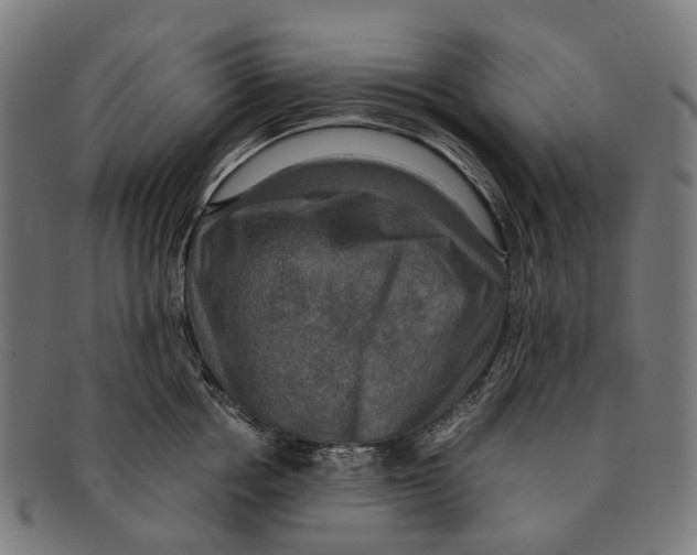 X0000091480858200709131810