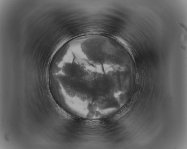 X0000091480859200709131810