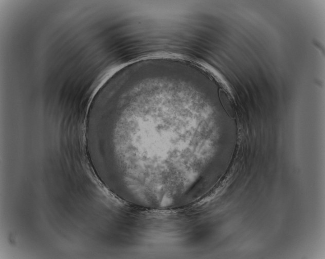 X0000091480860200709131810