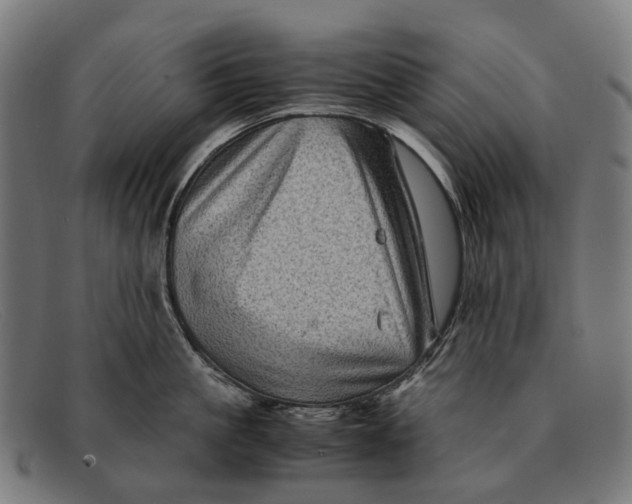 X0000091480861200709131810