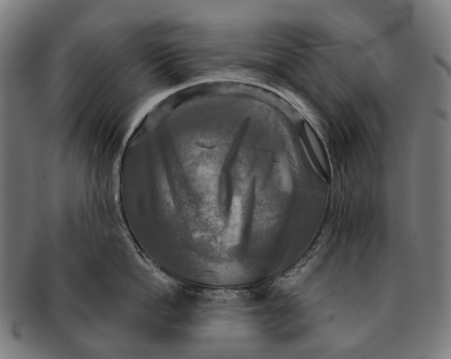 X0000091480862200709131810