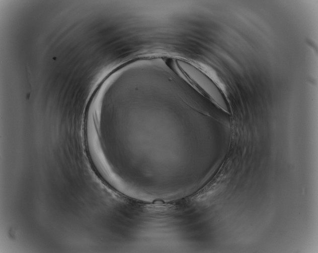 X0000091480863200709131810