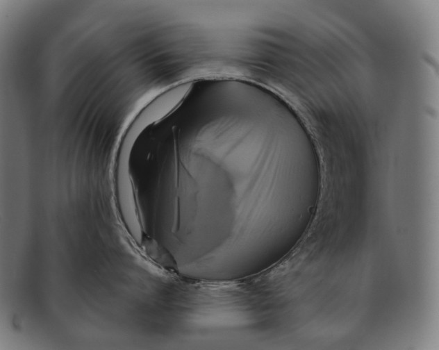 X0000091480864200709131810