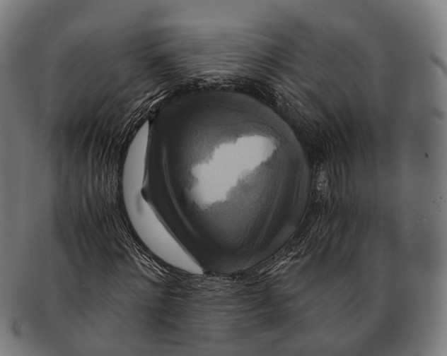 X0000091480868200709131810