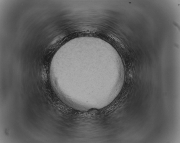 X0000091480869200709131810