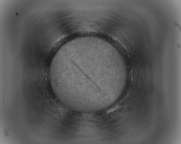 X0000091480870200709131810