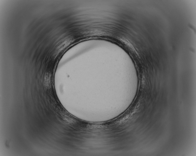 X0000091480873200709131810