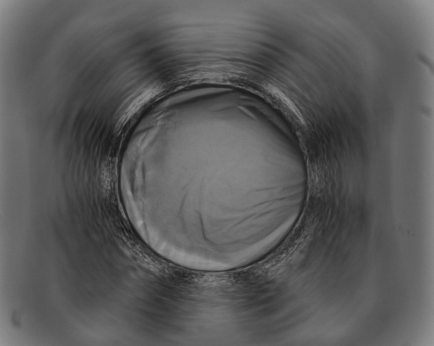 X0000091480874200709131810