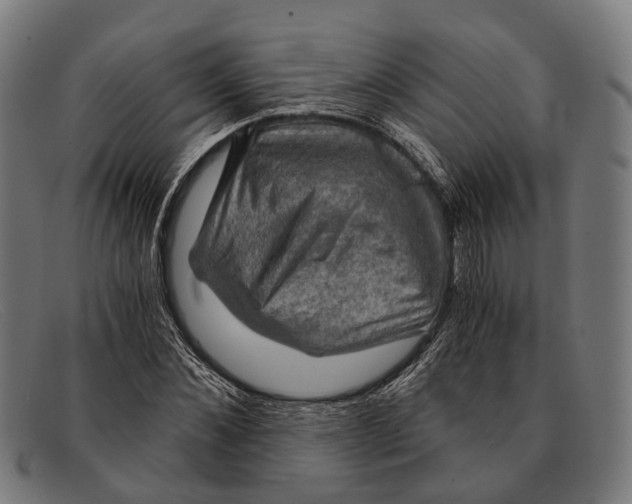 X0000091480876200709131810