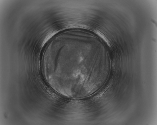 X0000091480877200709131810