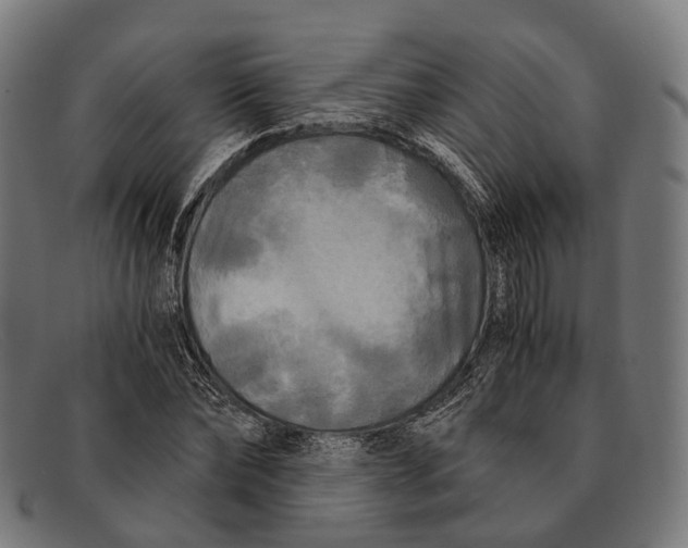 X0000091480878200709131810