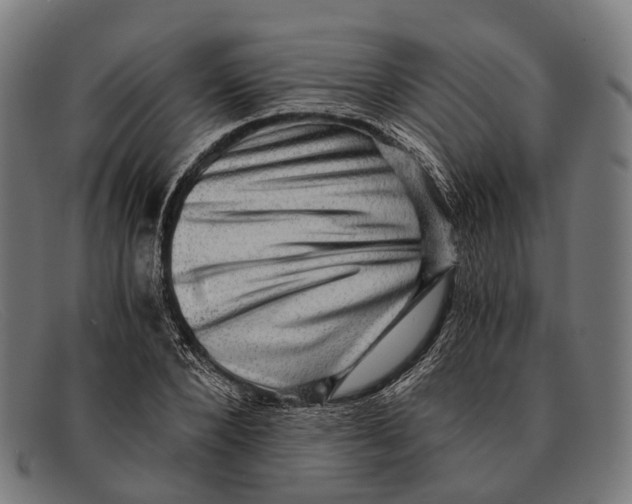 X0000091480880200709131810