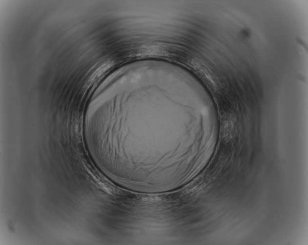 X0000091480882200709131810