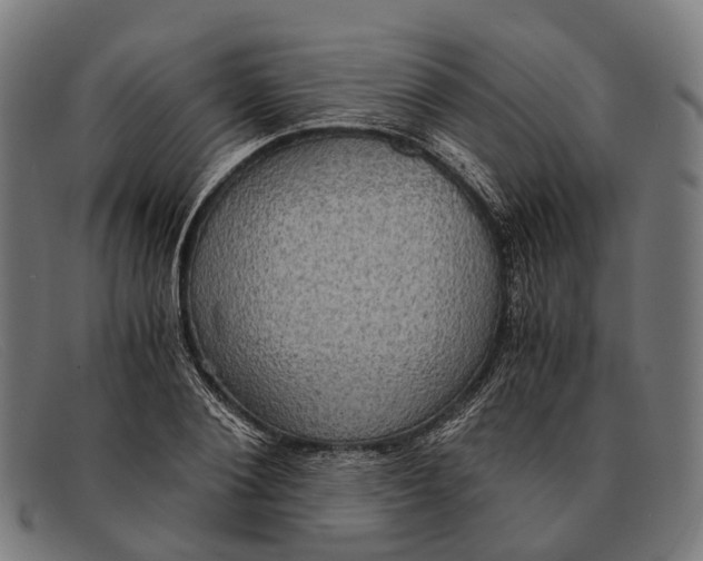 X0000091480884200709131810