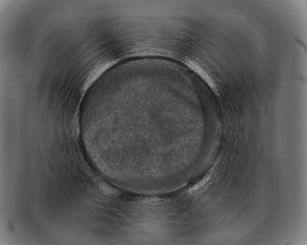 X0000091480885200709131809