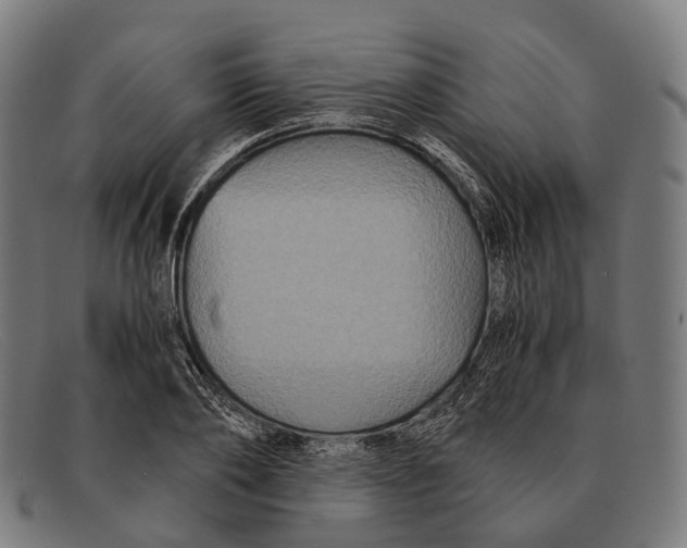 X0000091480886200709131809