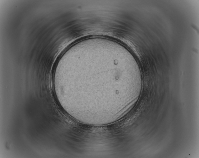 X0000091480887200709131809