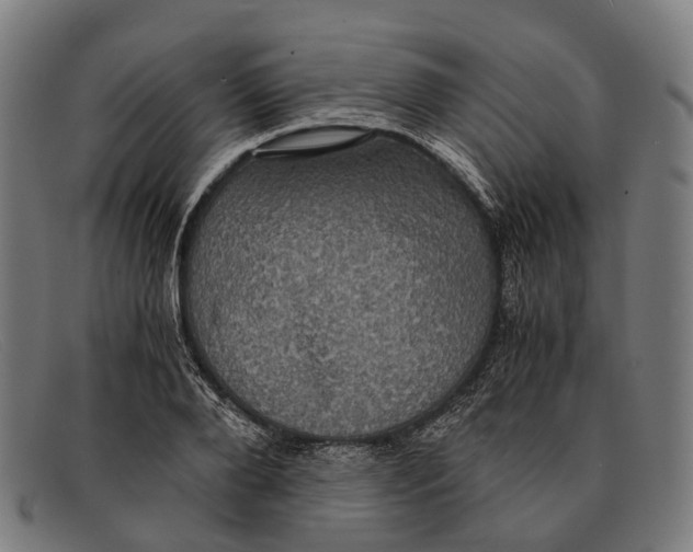 X0000091480888200709131809