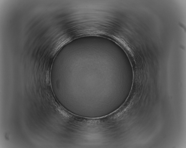 X0000091480889200709131809