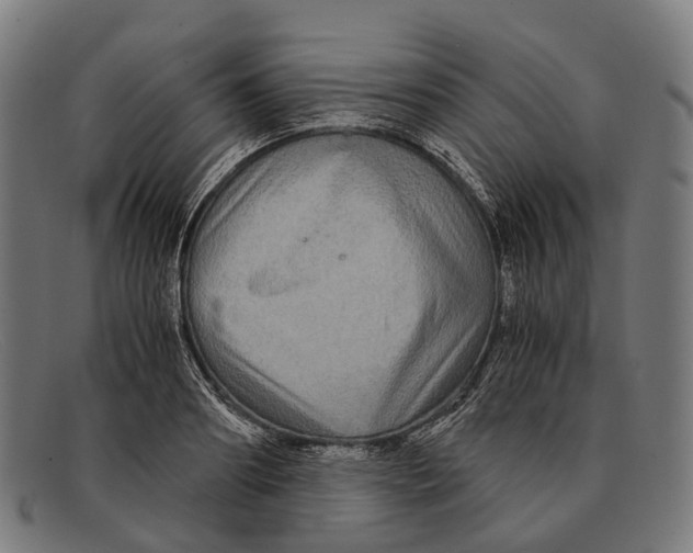 X0000091480890200709131809