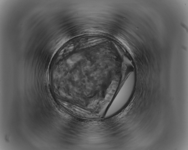 X0000091480891200709131809