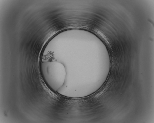 X0000091480892200709131809