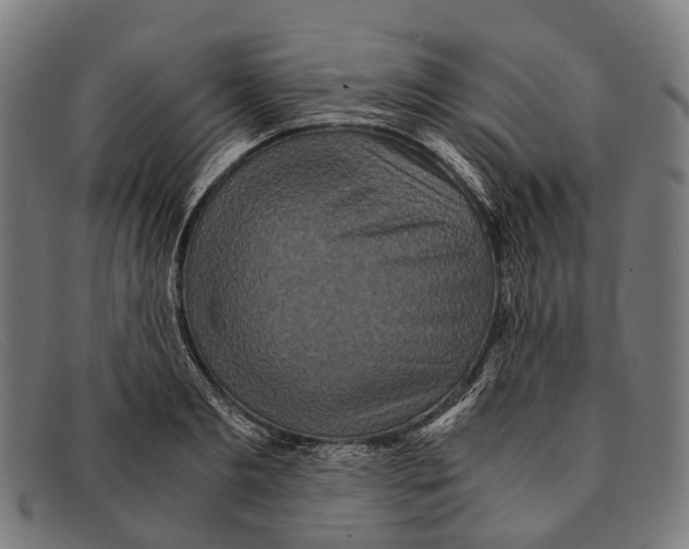 X0000091480893200709131809