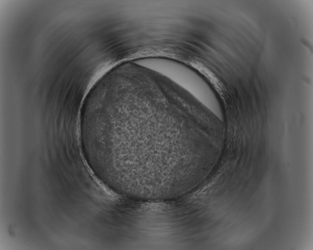 X0000091480894200709131809