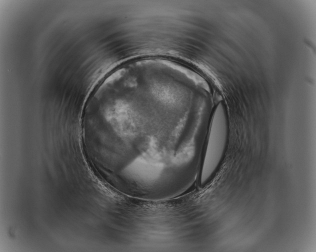 X0000091480895200709131809