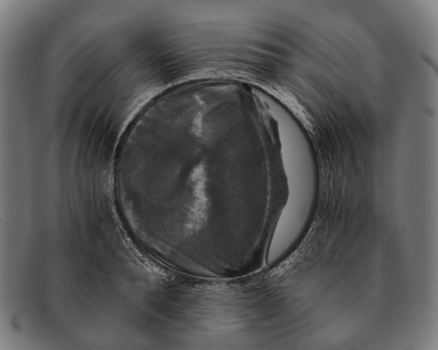 X0000091480896200709131809