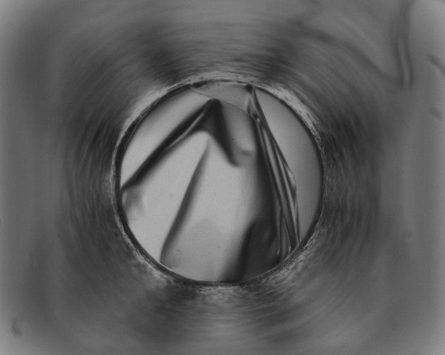 X0000091480902200709131809