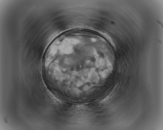 X0000091480903200709131809