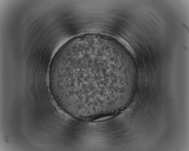 X0000091480904200709131809