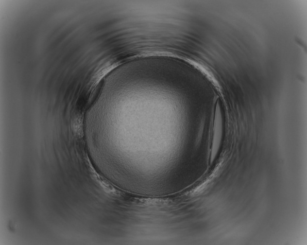 X0000091480905200709131809